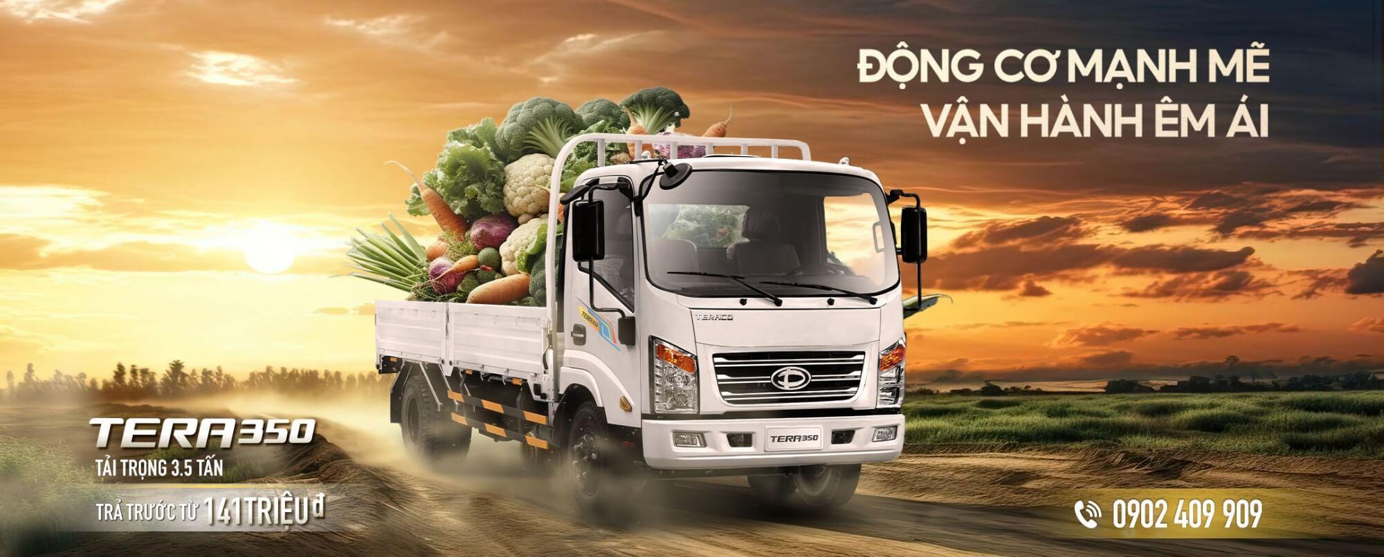 TERA350 là sản phẩm phù hợp với khách hàng có nhu cầu chở nhiều hàng hóa